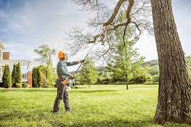 Reliable Nashville, TN Tree Removal Solutions