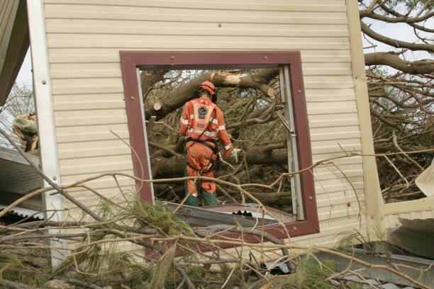 Best Storm Damage Tree Cleanup  in Nashville, TN